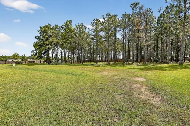 a view of a field with trees in the background