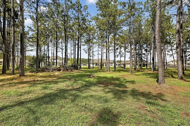 a view of park with trees