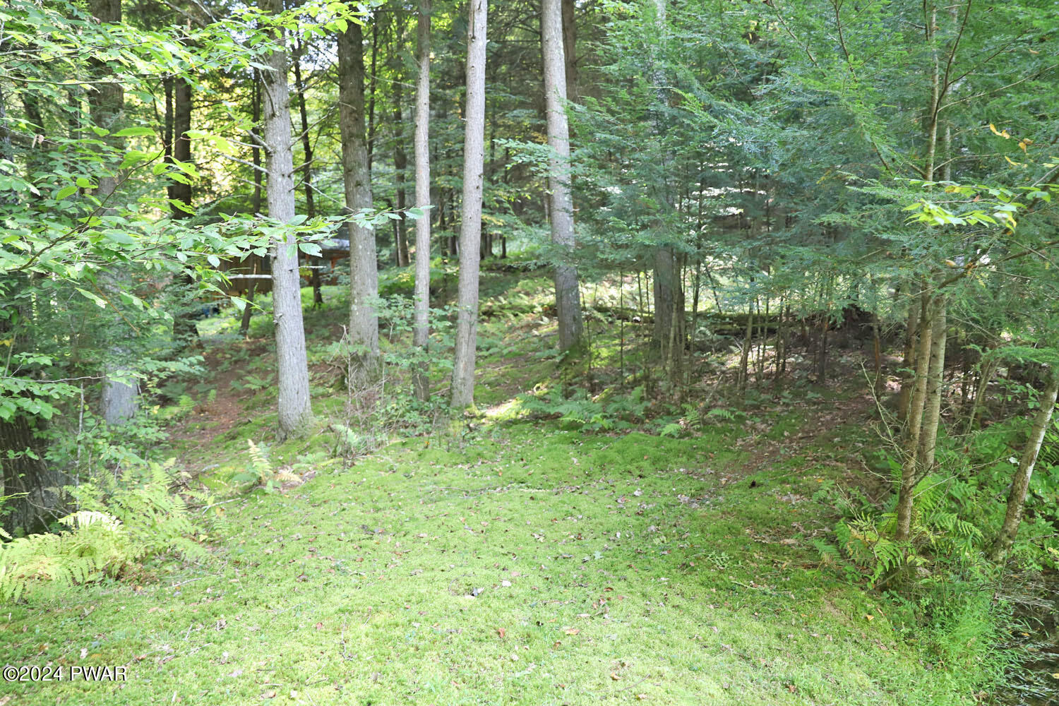 590 John Davis Road Beach Lake, PA 18405 - Photo 29 of 29 IMG_5654