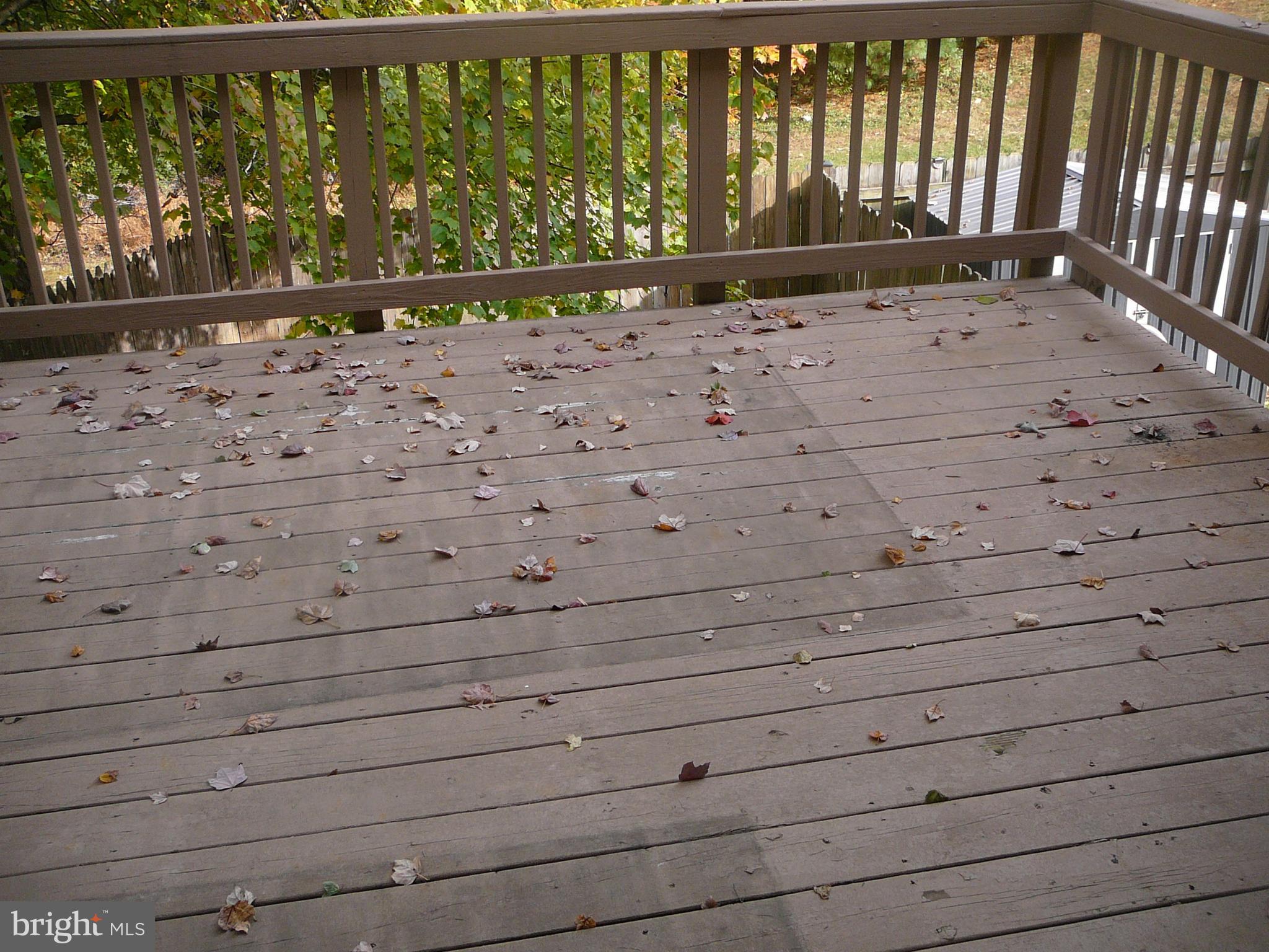 302 Harrogate Road Fredericksburg, VA 22406 - Photo 20 of 32 Deck off Living Room