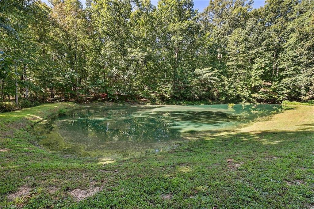 1917 Scalesville Road Summerfield, NC 27358 - Photo 38 of 42