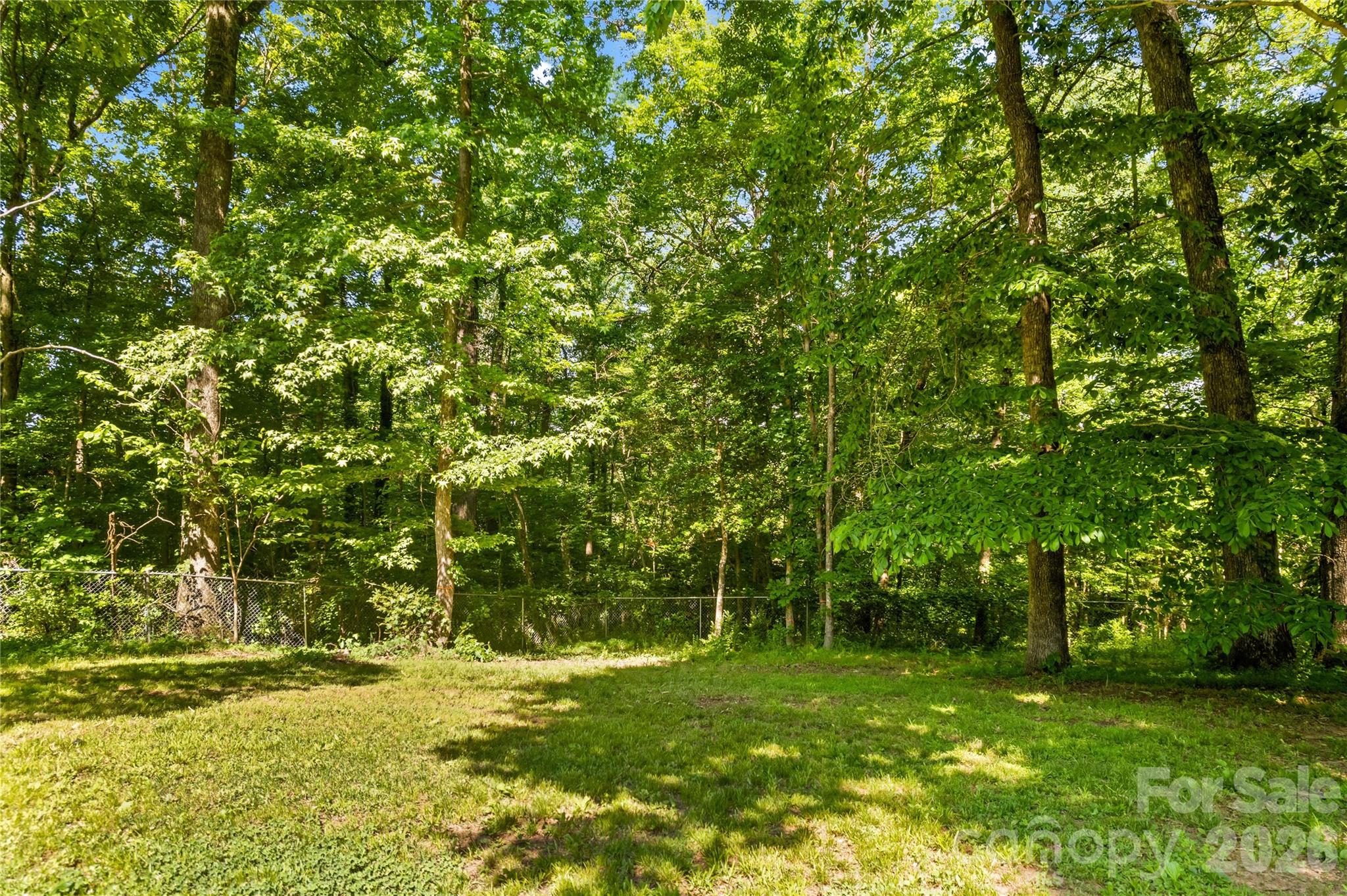 711 Spring Pointe Drive Stony Point, NC 28678 - Photo 35 of 47 a view of a trees with a yard