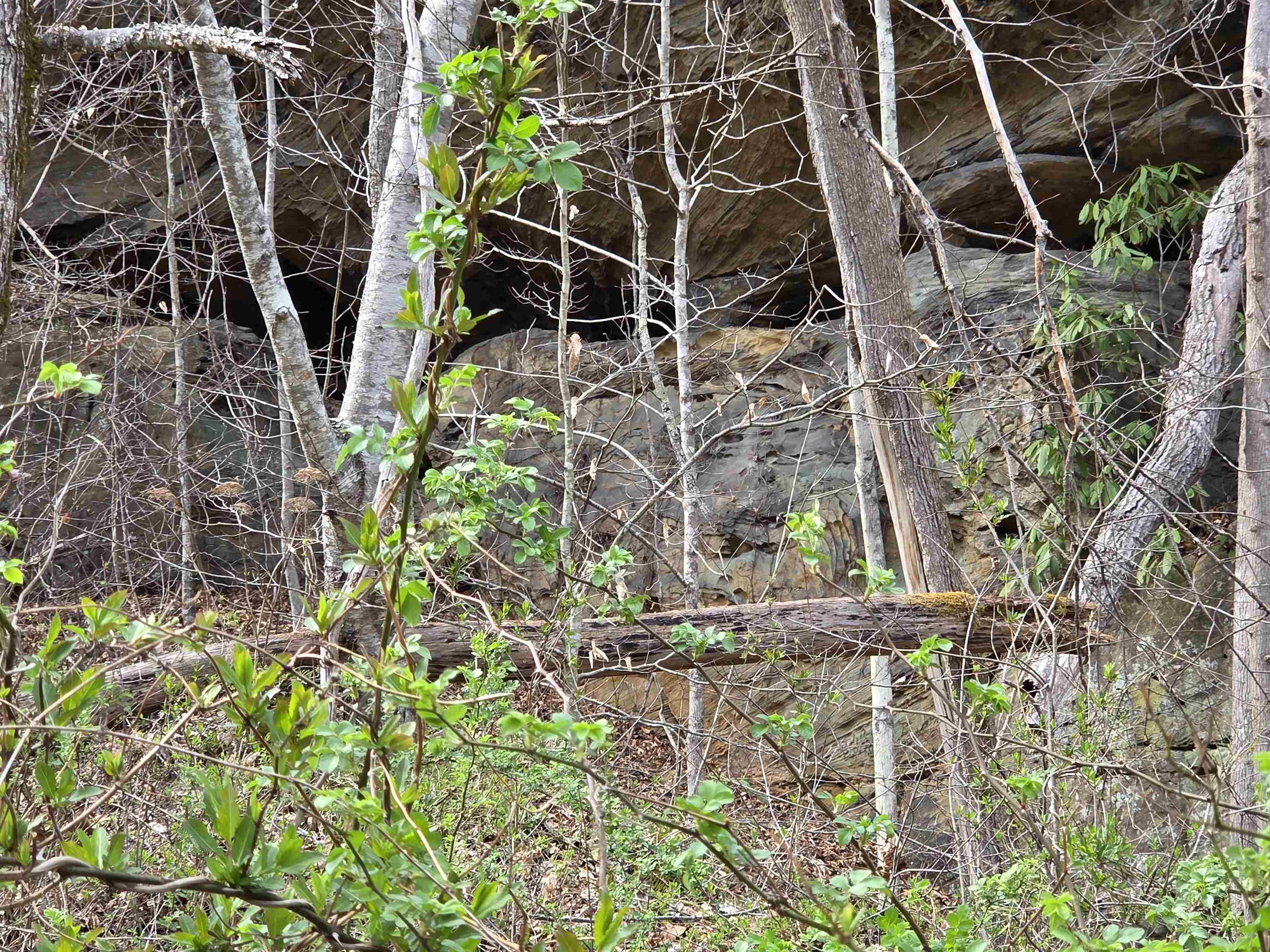 Kiser Fork Road Olive Hill, KY 41164 - Photo 22 of 46 Gallery Image 22
