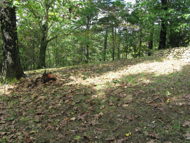 3165 Nace Road Fincastle, VA 24090 - Photo 18 of 20 IMG_2102 - Copy