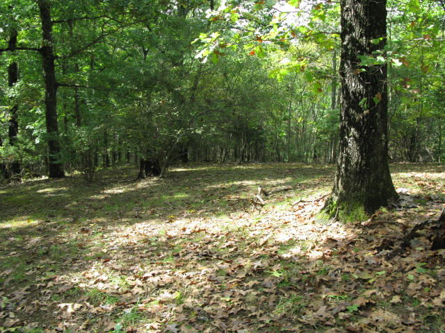 3165 Nace Road Fincastle, VA 24090 - Photo 19 of 20 IMG_2099 - Copy (2)