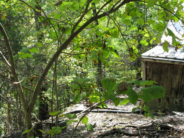 3165 Nace Road Fincastle, VA 24090 - Photo 20 of 20 IMG_2119