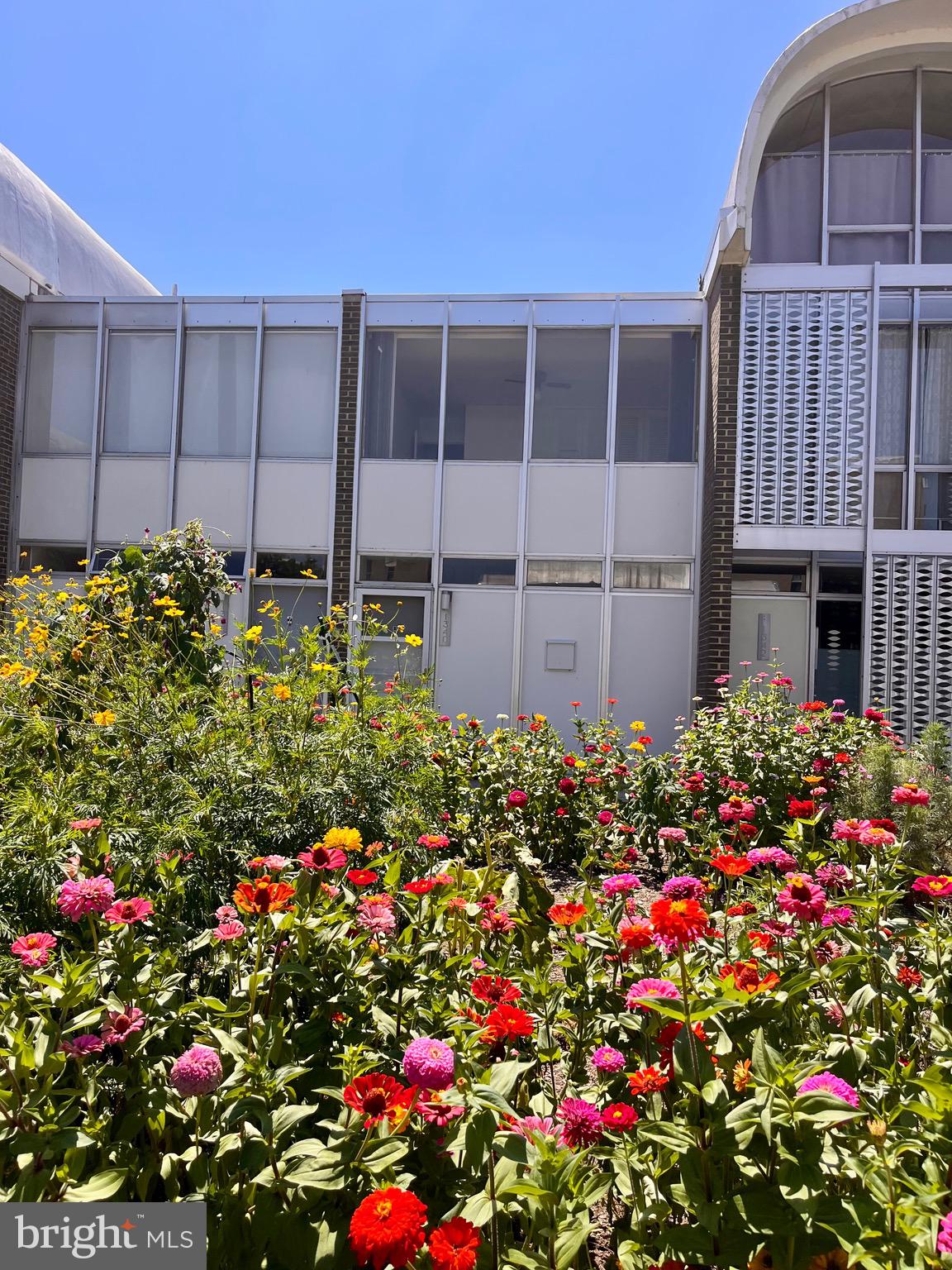 a flower plants in front of a house