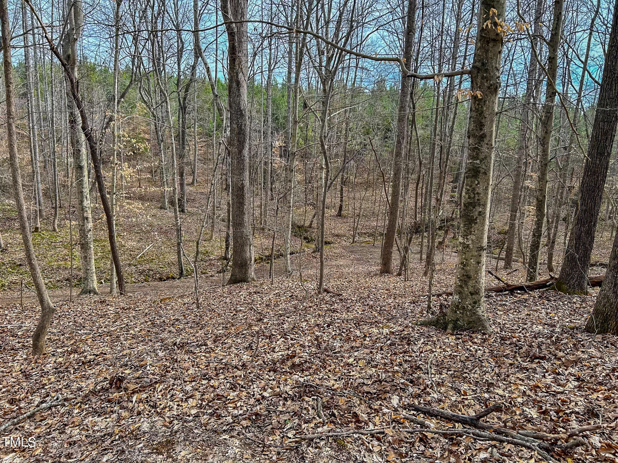 Lot 7 Streets Store Road Roxboro, NC 27574 - Photo 5 of 15 IMG_8054