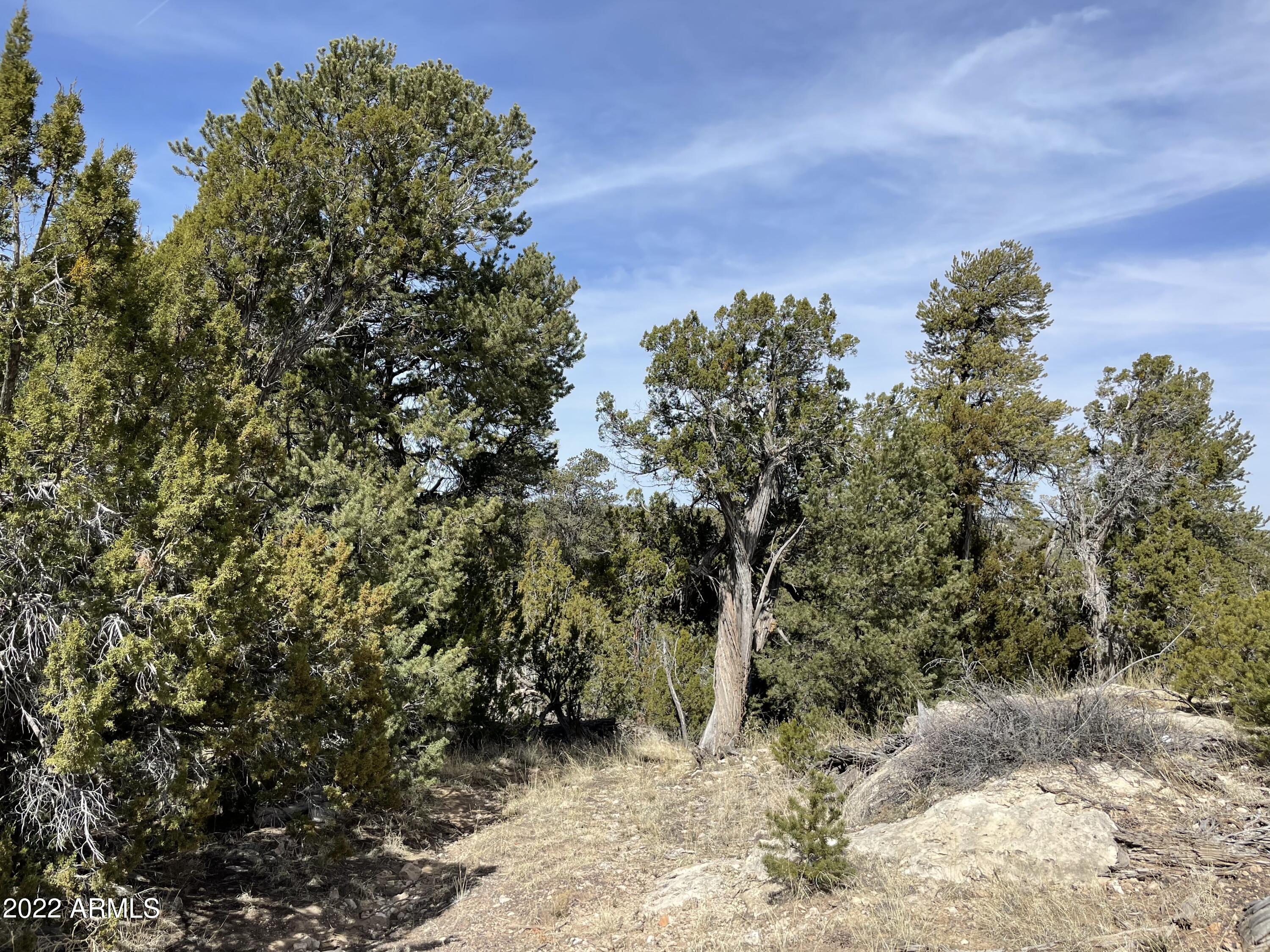 3643 Stagecoach Road, Unit 34 Overgaard, AZ 85933 - Photo 2 of 10 7559AD4A-A278-4B35-9EA2-C13993F66131
