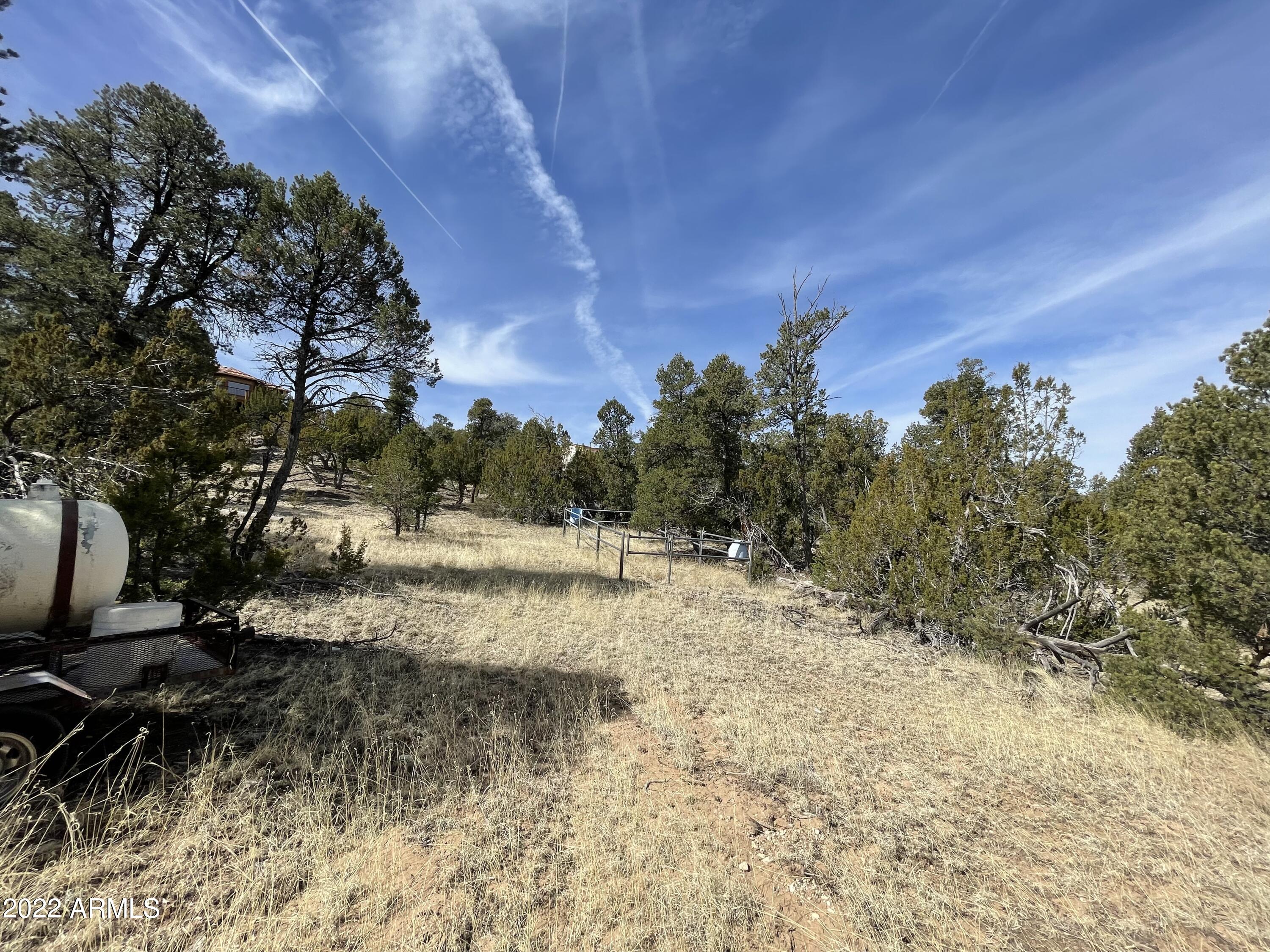 3643 Stagecoach Road, Unit 34 Overgaard, AZ 85933 - Photo 4 of 10 56F09ED6-FAD4-4294-B6B3-8B693949EEC7