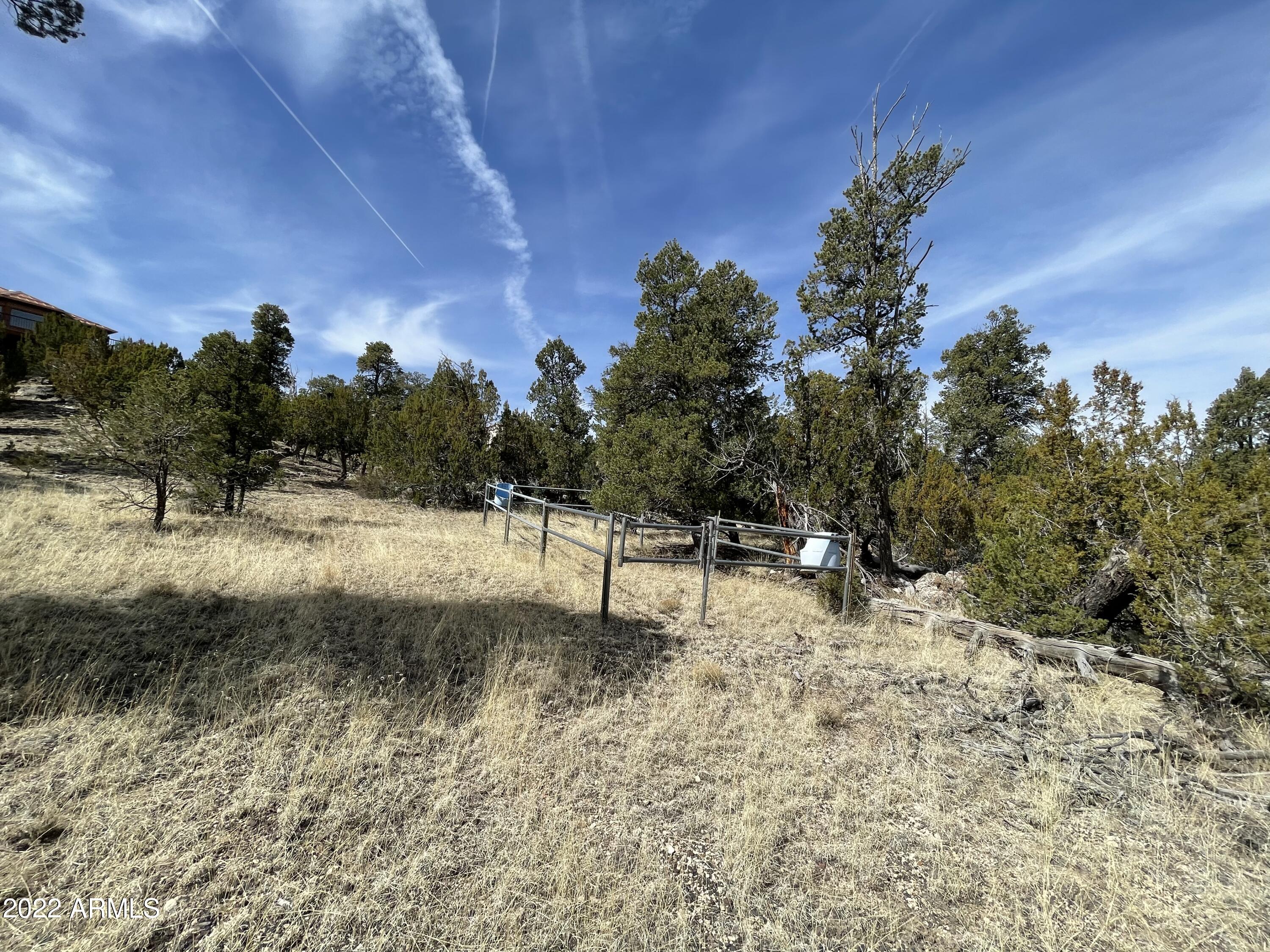 3643 Stagecoach Road, Unit 34 Overgaard, AZ 85933 - Photo 5 of 10 8BD744D7-9395-411F-BA40-AA02A1CDD7D1