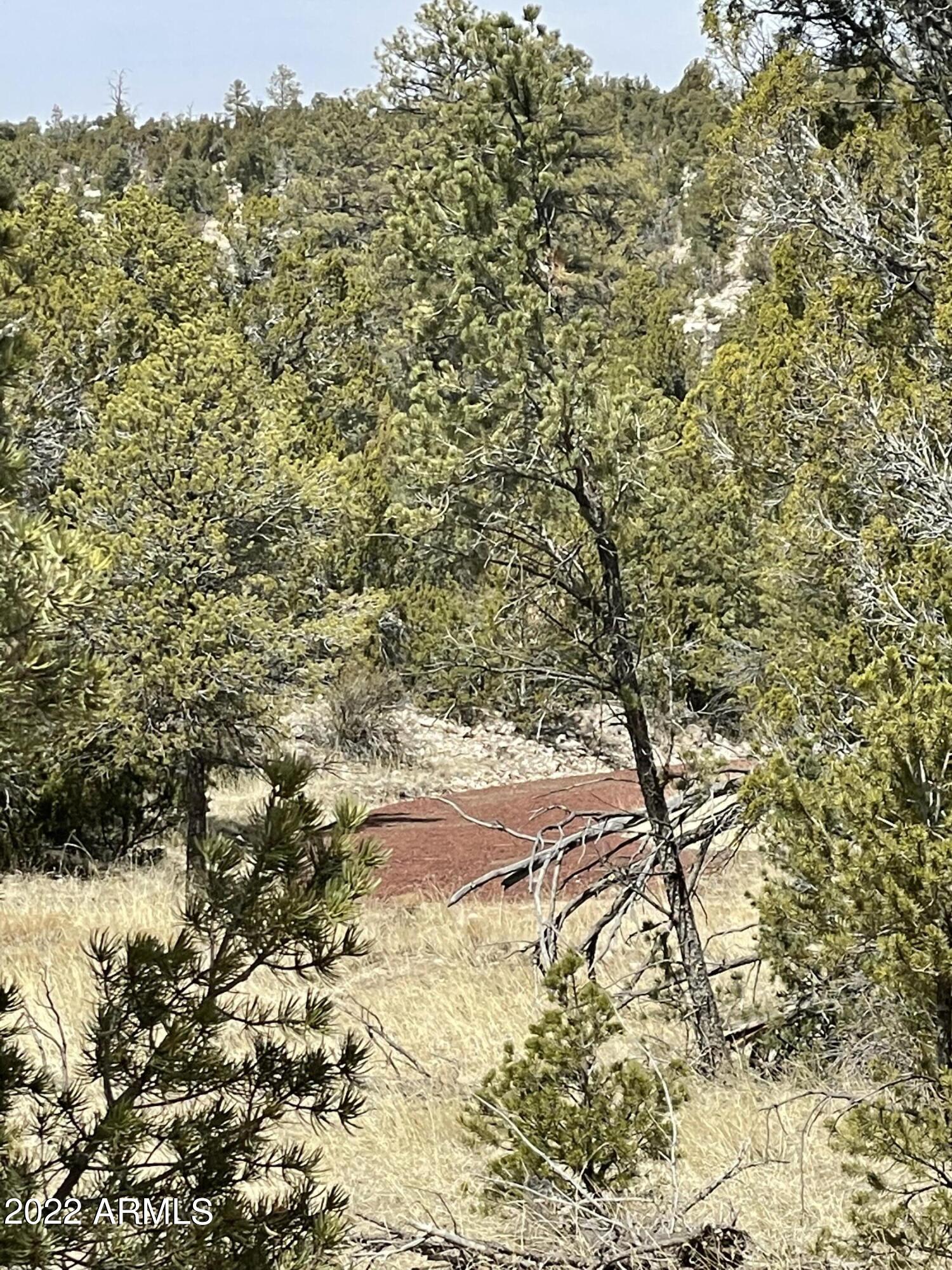 3643 Stagecoach Road, Unit 34 Overgaard, AZ 85933 - Photo 7 of 10 4D8D7649-235A-4D7C-A5E5-4DC6A8604735