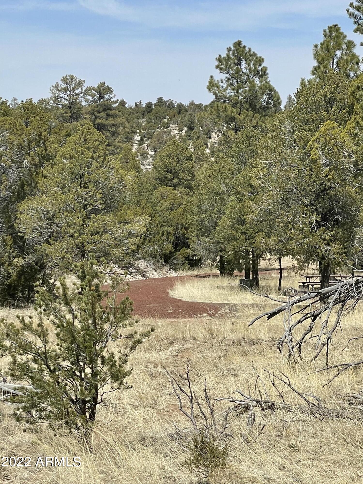 3643 Stagecoach Road, Unit 34 Overgaard, AZ 85933 - Photo 8 of 10 FC8E831C-09B4-4EDA-A540-499E7FF9C76B