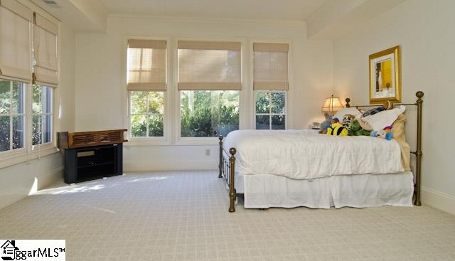 102 Bruce Farm Road Simpsonville, SC 29681 - Photo 31 of 36 Gallery Image 31
