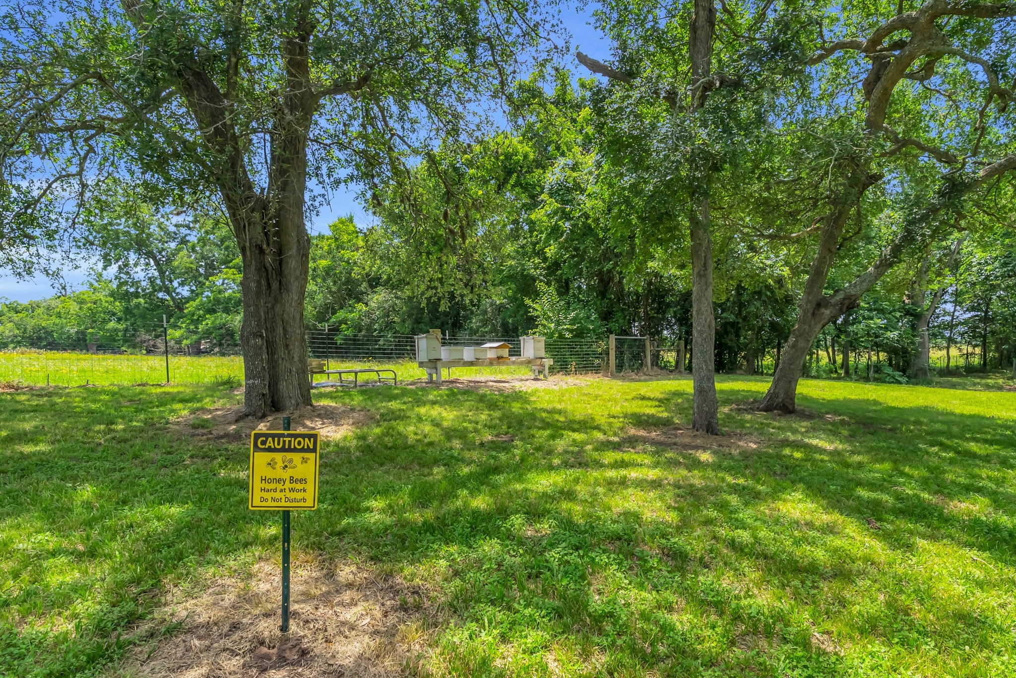 39131 Fm 1458 Road Brookshire, TX 77423 - Photo 7 of 49