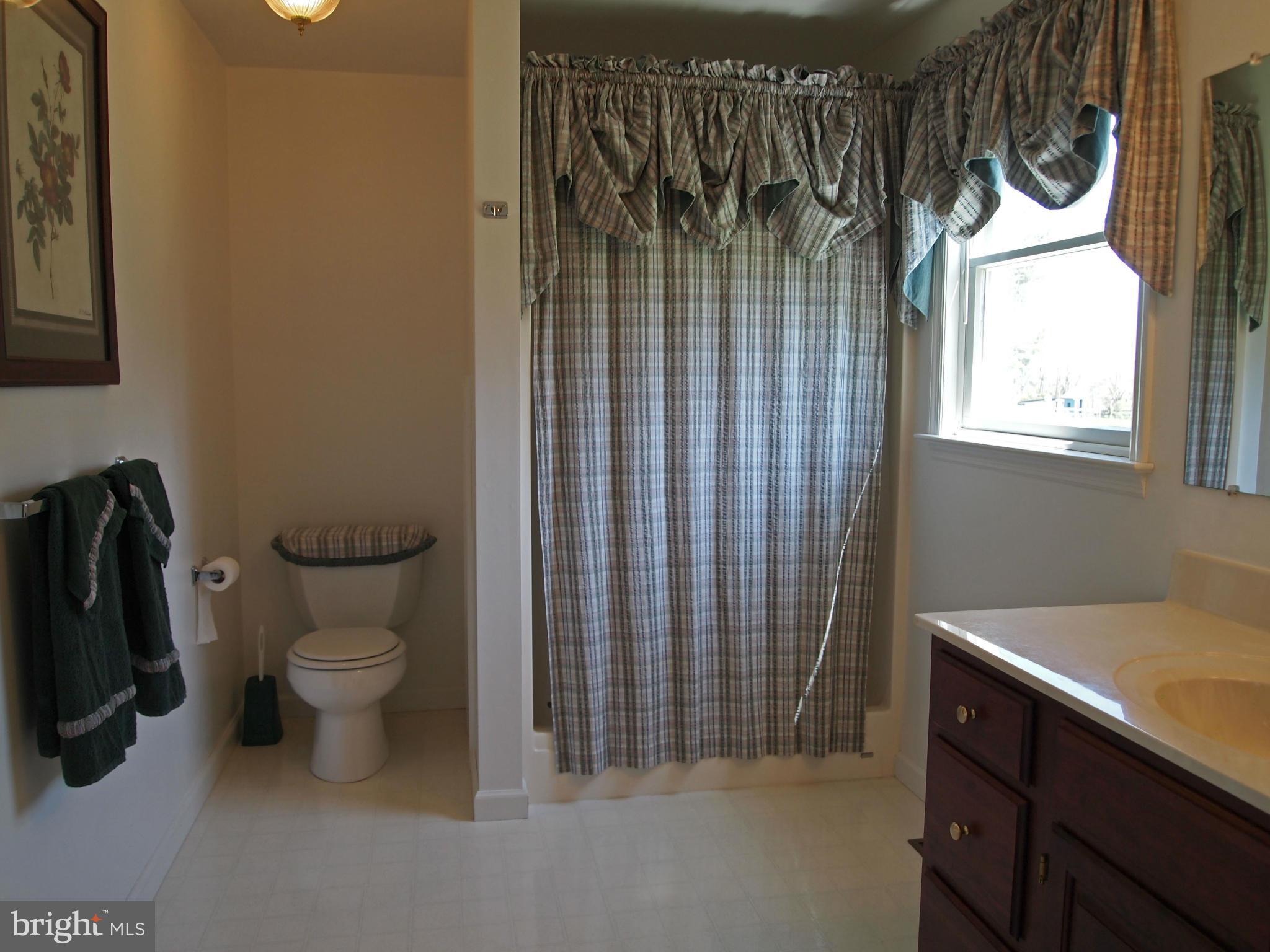 974 Berrys Ferry Road White Post, VA 22663 - Photo 12 of 30 Bath (Master)