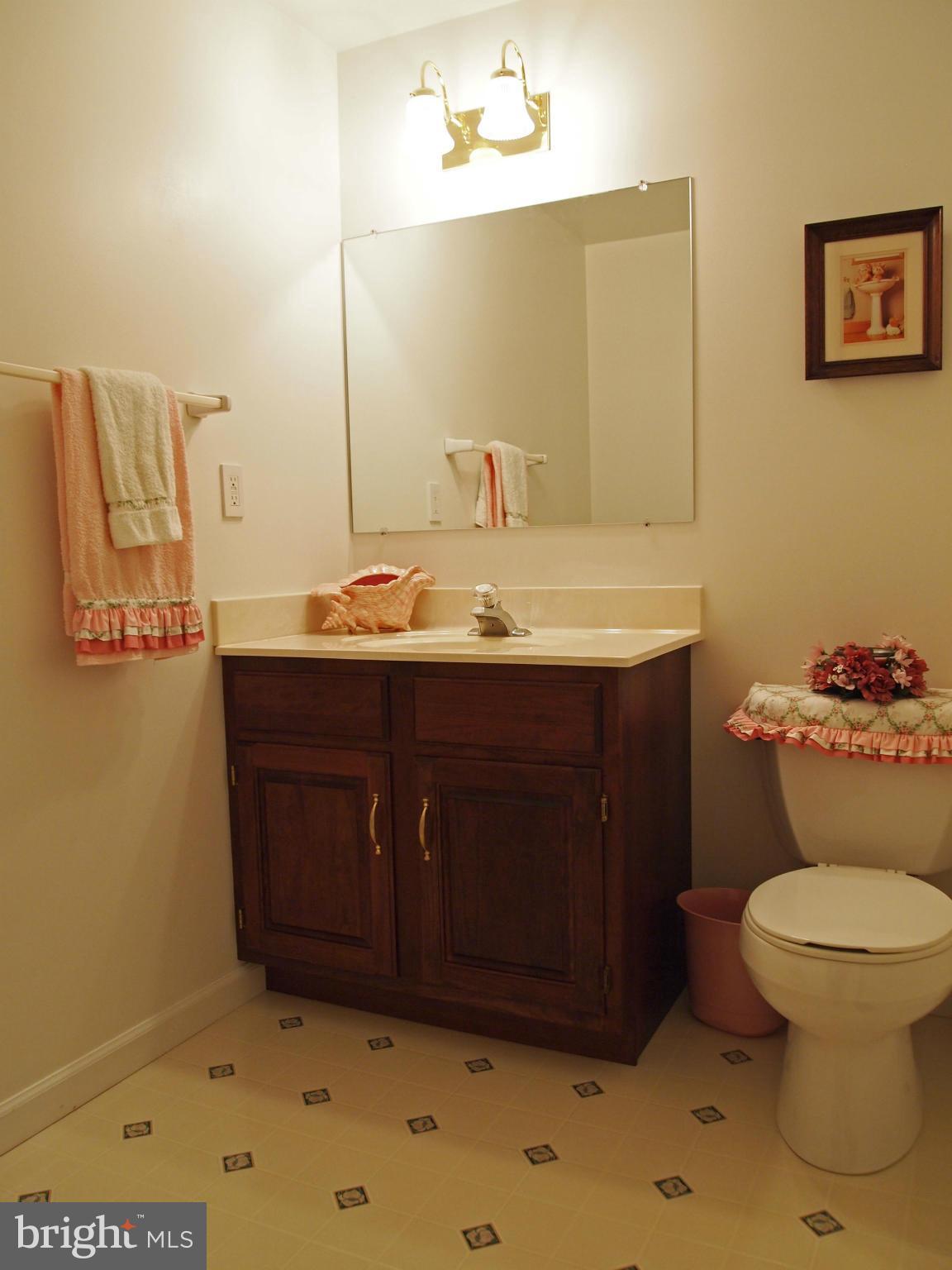 974 Berrys Ferry Road White Post, VA 22663 - Photo 13 of 30 Bath