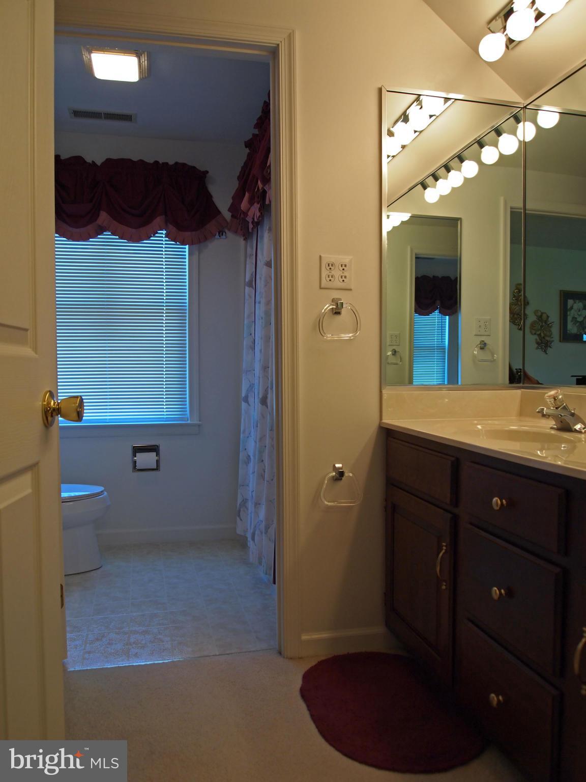 974 Berrys Ferry Road White Post, VA 22663 - Photo 19 of 30 Bath (Master)