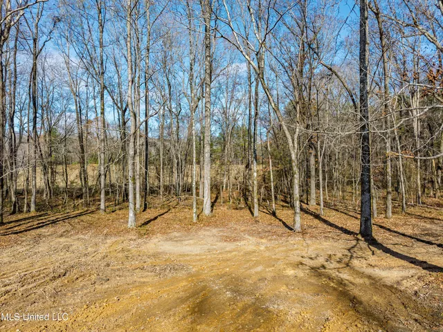 $259,900 | 1565 Ales Road, Sardis, MS 38666