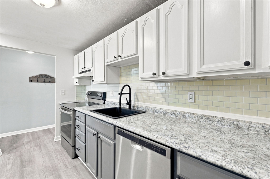 74 Springvale Avenue, Unit 1 Chelsea, MA 02150 - Photo 4 of 29 Gallery Image 4