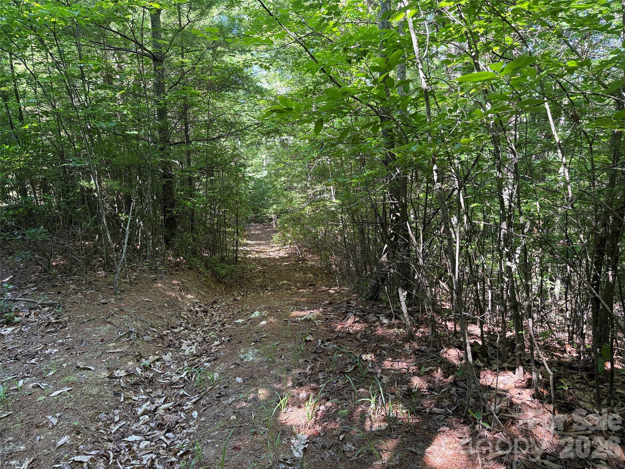 Tbd Blue Rock Road, Unit 171 & 172B Purlear, NC 28665 - Photo 11 of 44