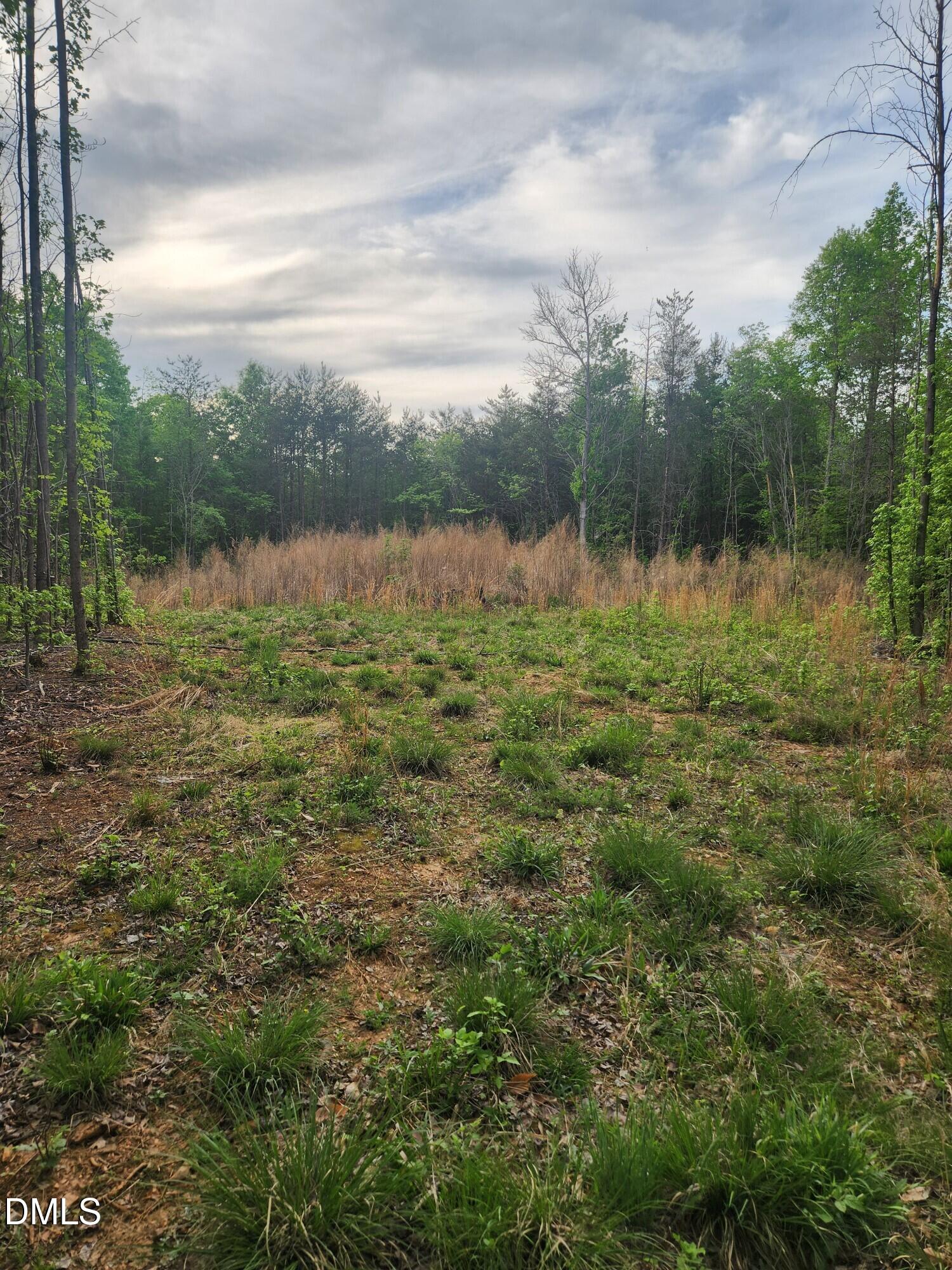 205 North Gibson Road Mebane, NC 27302 - Photo 3 of 5 n gibson 3
