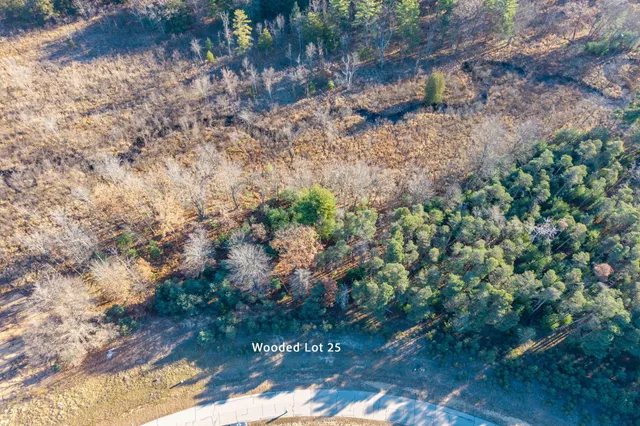 $75,000 | 11250 Killarney Drive, Stanwood, MI 49346