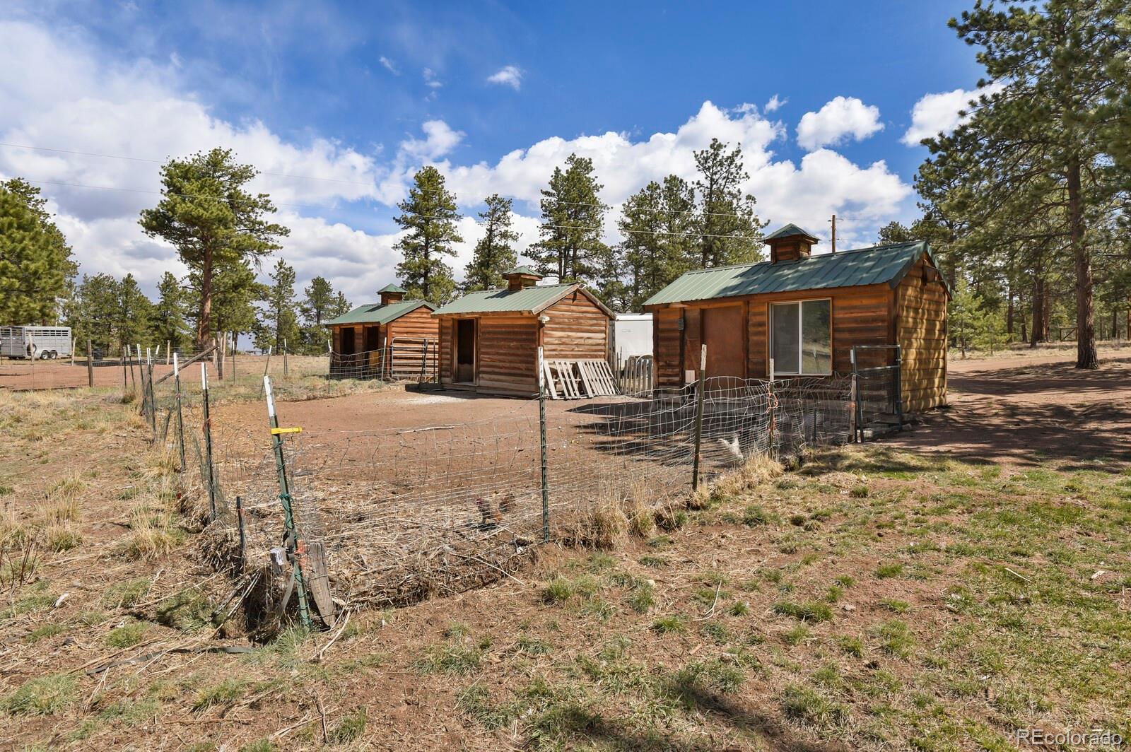 881 Trail Creek Road Lake George, CO 80827 - Photo 36 of 46