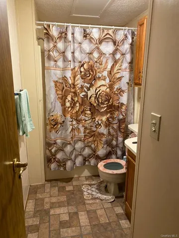 a bathroom with a toilet and a shower curtain