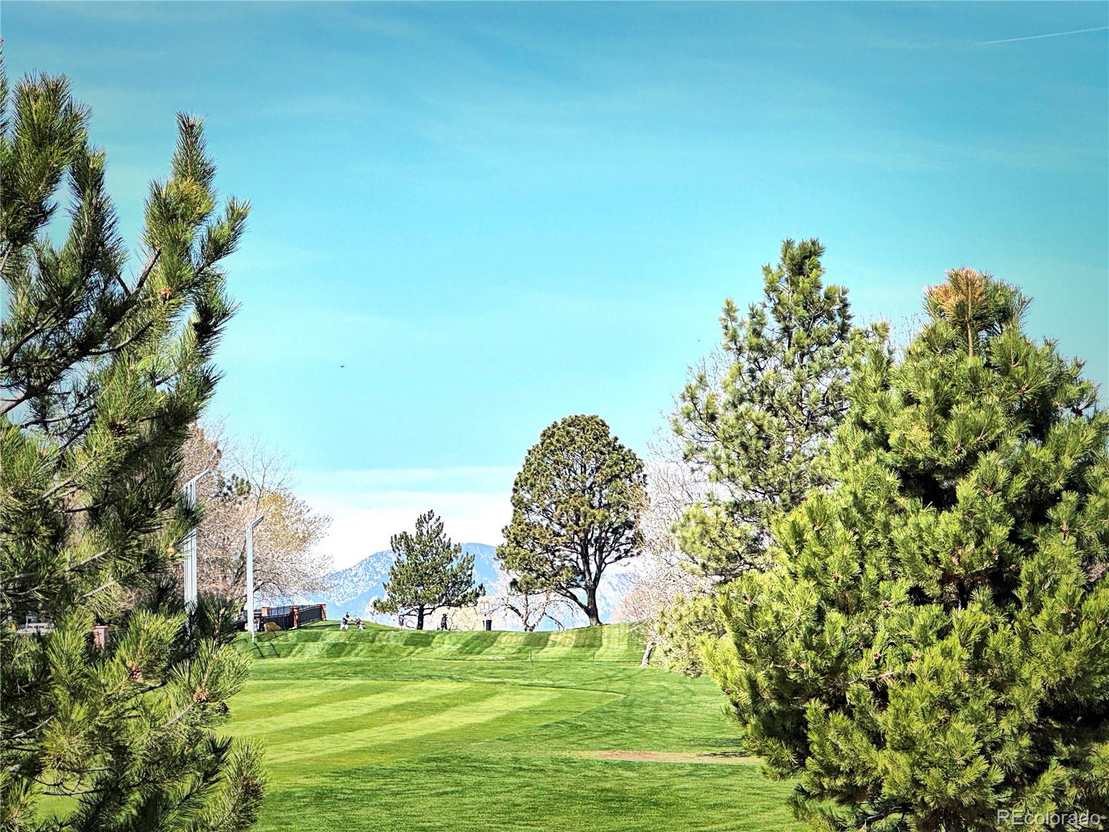 8403 Chase Drive Arvada, CO 80003 - Photo 15 of 39 a view of a golf course with a garden