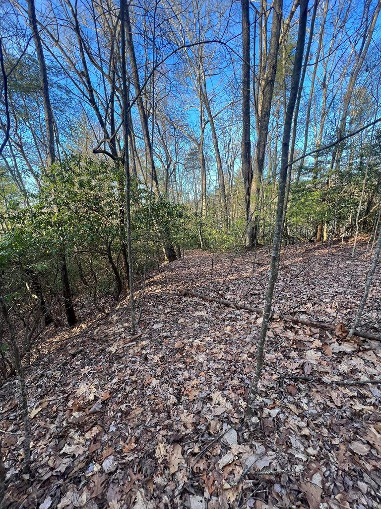0 Lauren Road Murphy, NC 28906 - Photo 19 of 20 Gallery Image 19