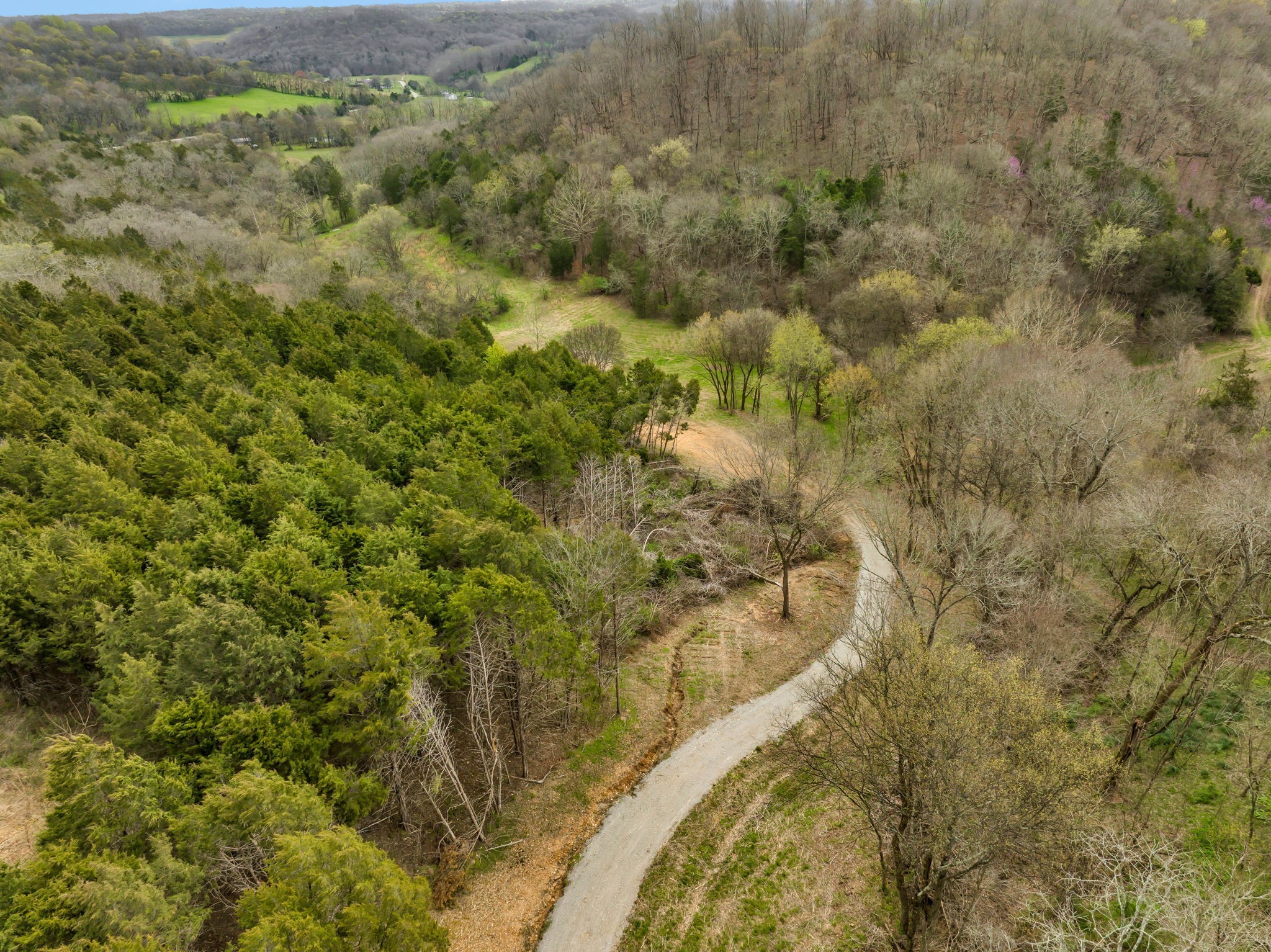 1 Rabbit Trail Road Culleoka, TN 38451 - Photo 11 of 29