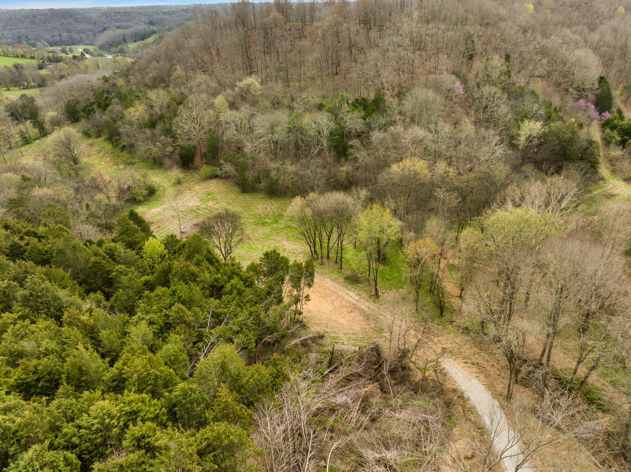 1 Rabbit Trail Road Culleoka, TN 38451 - Photo 12 of 29