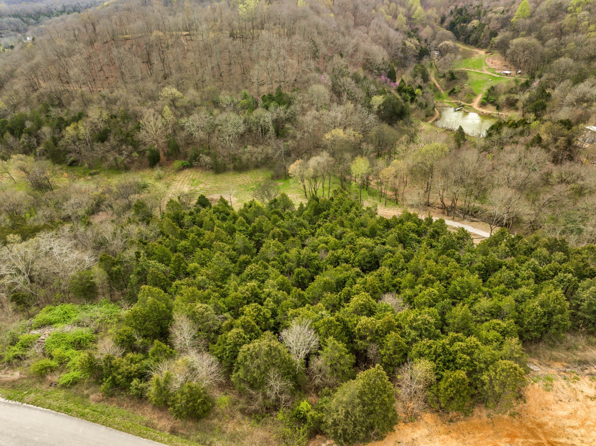 1 Rabbit Trail Road Culleoka, TN 38451 - Photo 13 of 29