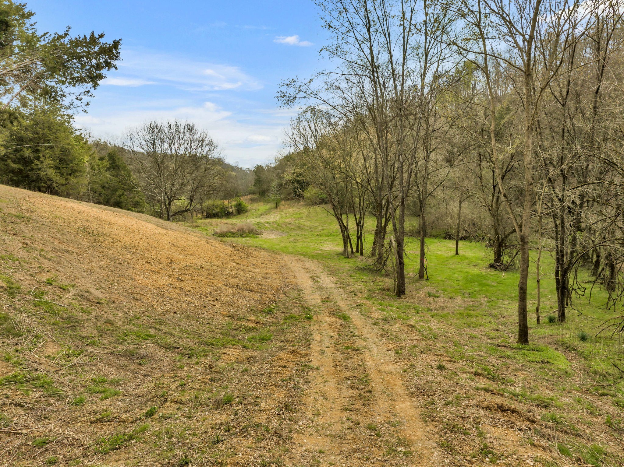 1 Rabbit Trail Road Culleoka, TN 38451 - Photo 16 of 29