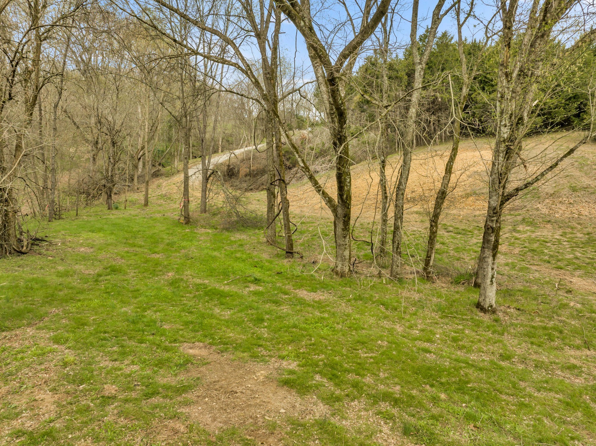 1 Rabbit Trail Road Culleoka, TN 38451 - Photo 19 of 29