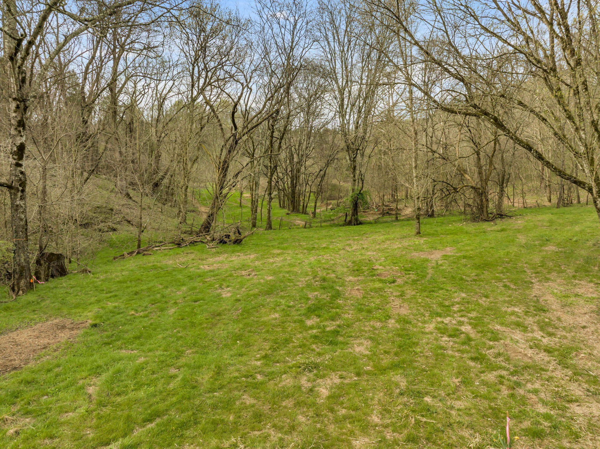 1 Rabbit Trail Road Culleoka, TN 38451 - Photo 21 of 29