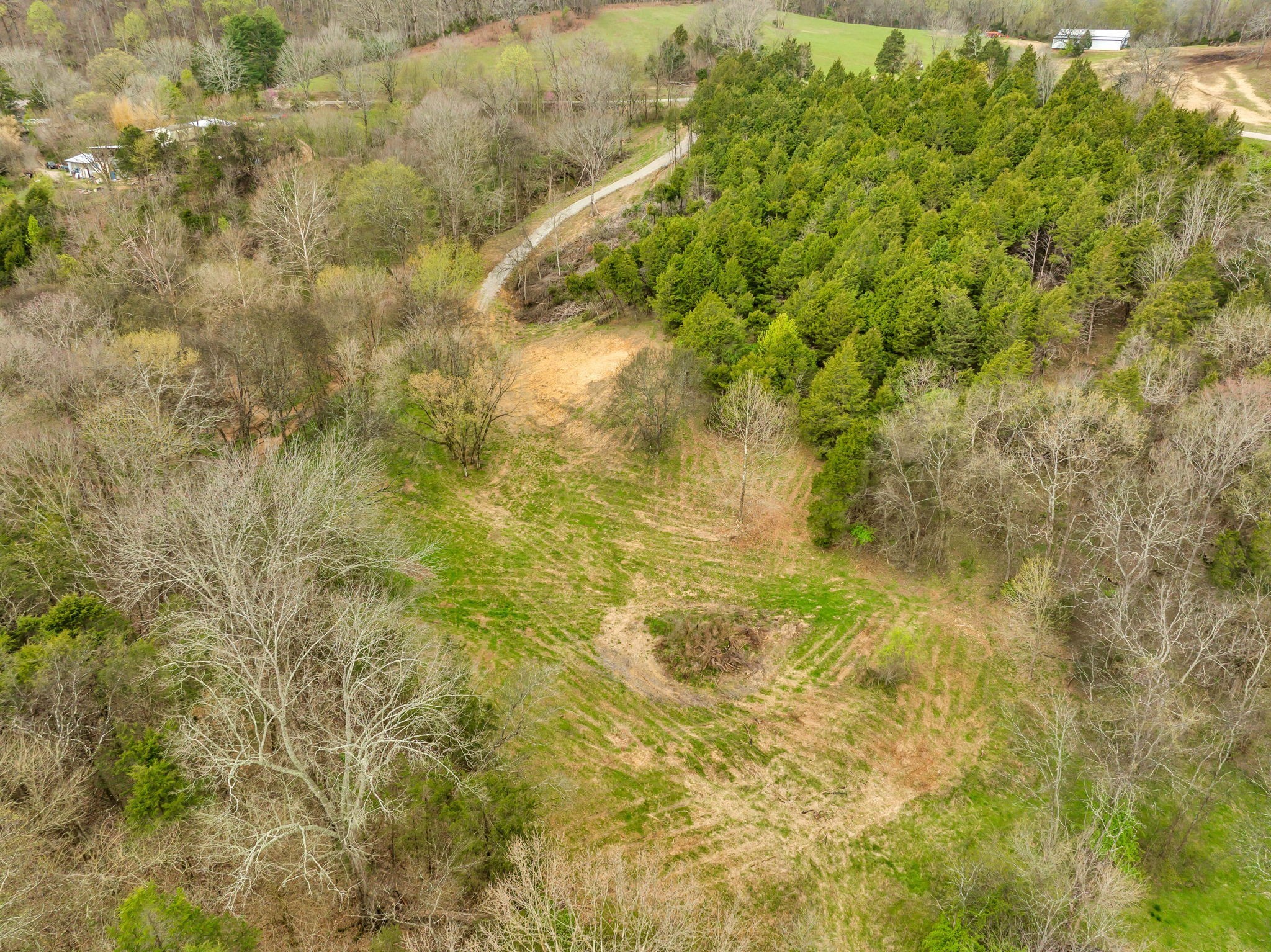 1 Rabbit Trail Road Culleoka, TN 38451 - Photo 5 of 29