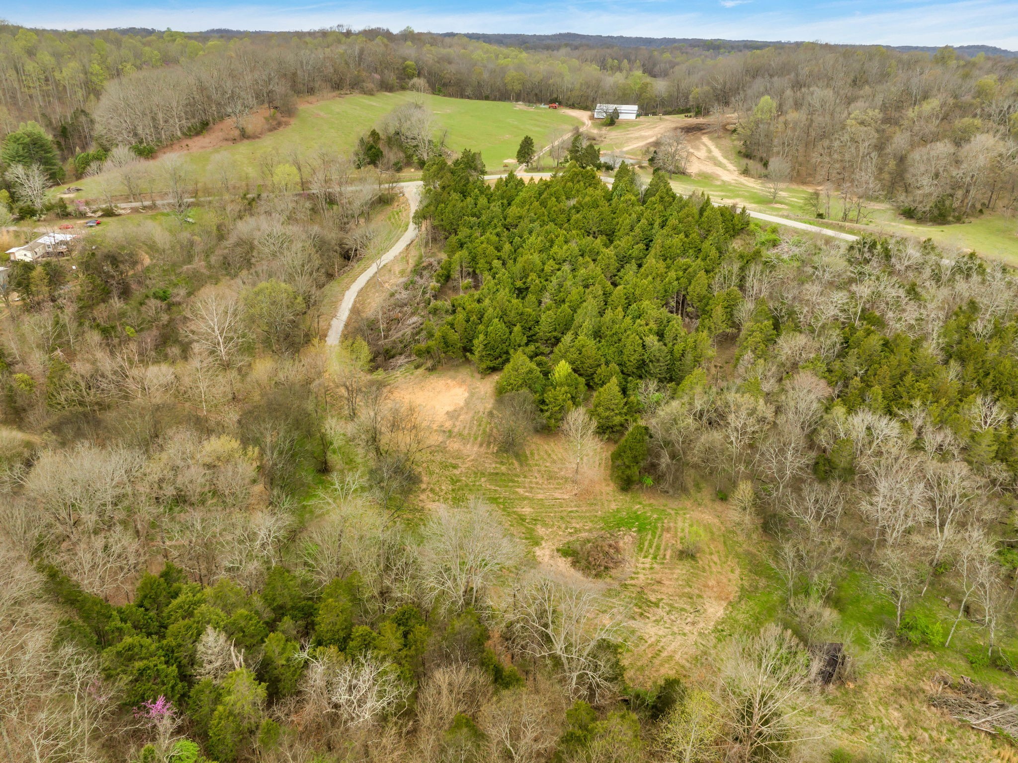 1 Rabbit Trail Road Culleoka, TN 38451 - Photo 9 of 29