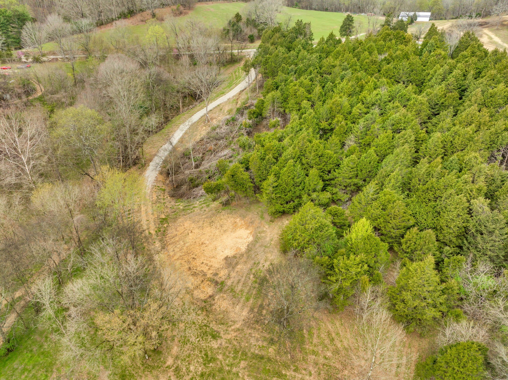 1 Rabbit Trail Road Culleoka, TN 38451 - Photo 10 of 29
