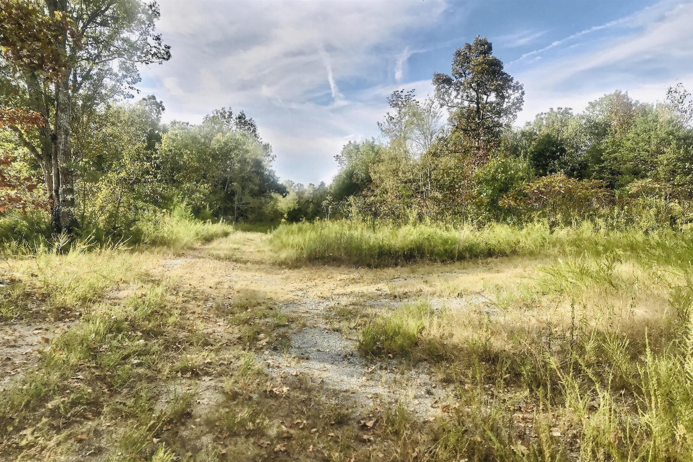 0 Welchance Road Murfreesboro, TN 37127 - Photo 8 of 10 One view of northeast boundary of property from 1st open clearing at end of grass cut drive