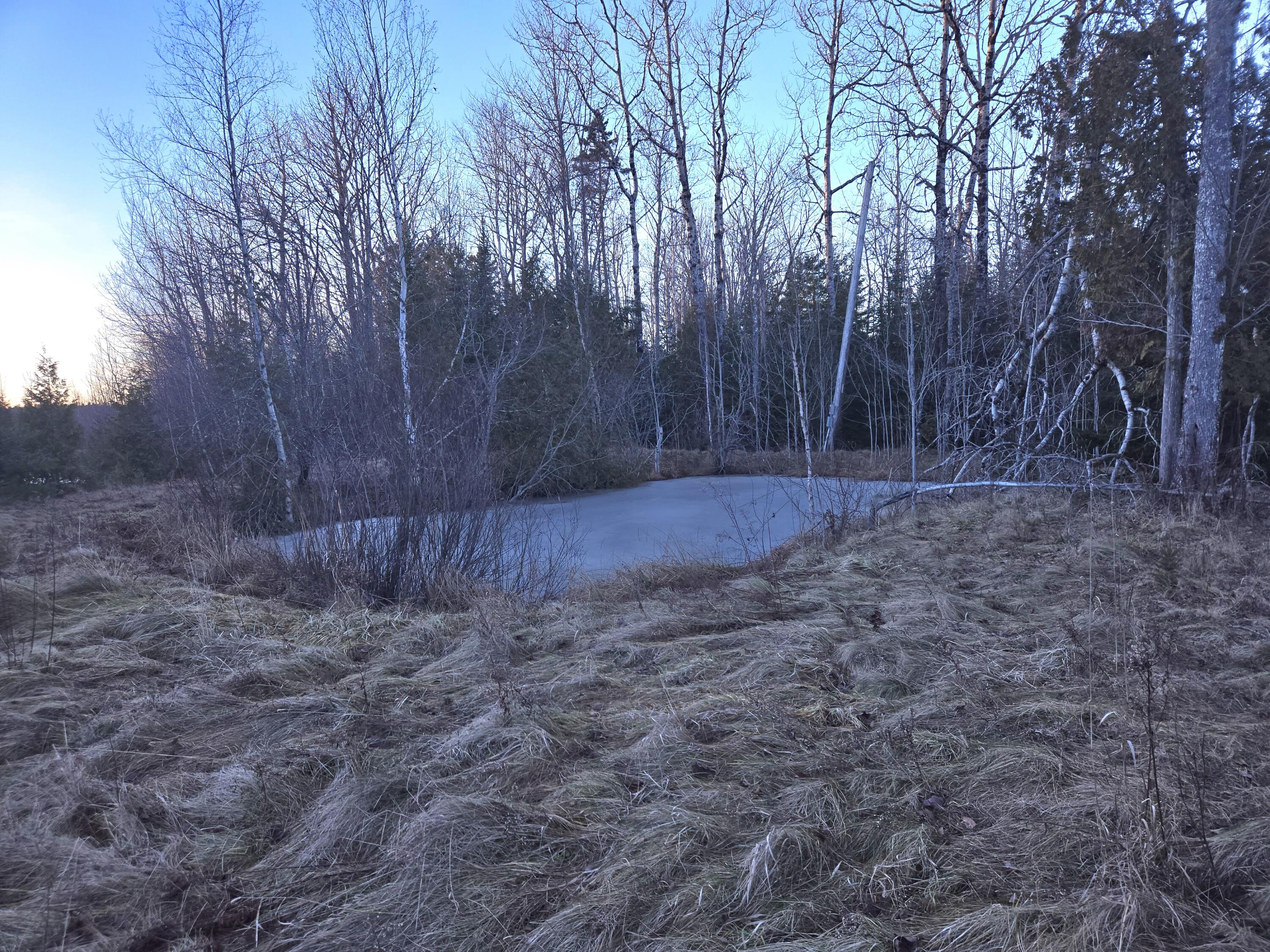 42 South Waterway Road Lubec, ME 04652 - Photo 4 of 11 20241231_153214