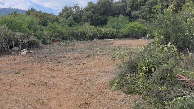 46967 Blue Ridge Drive Springville, CA 93265 - Photo 23 of 63