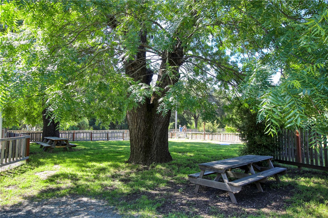 15050 Morro Road Atascadero, CA 93422 - Photo 30 of 33 a view of a yard with large trees