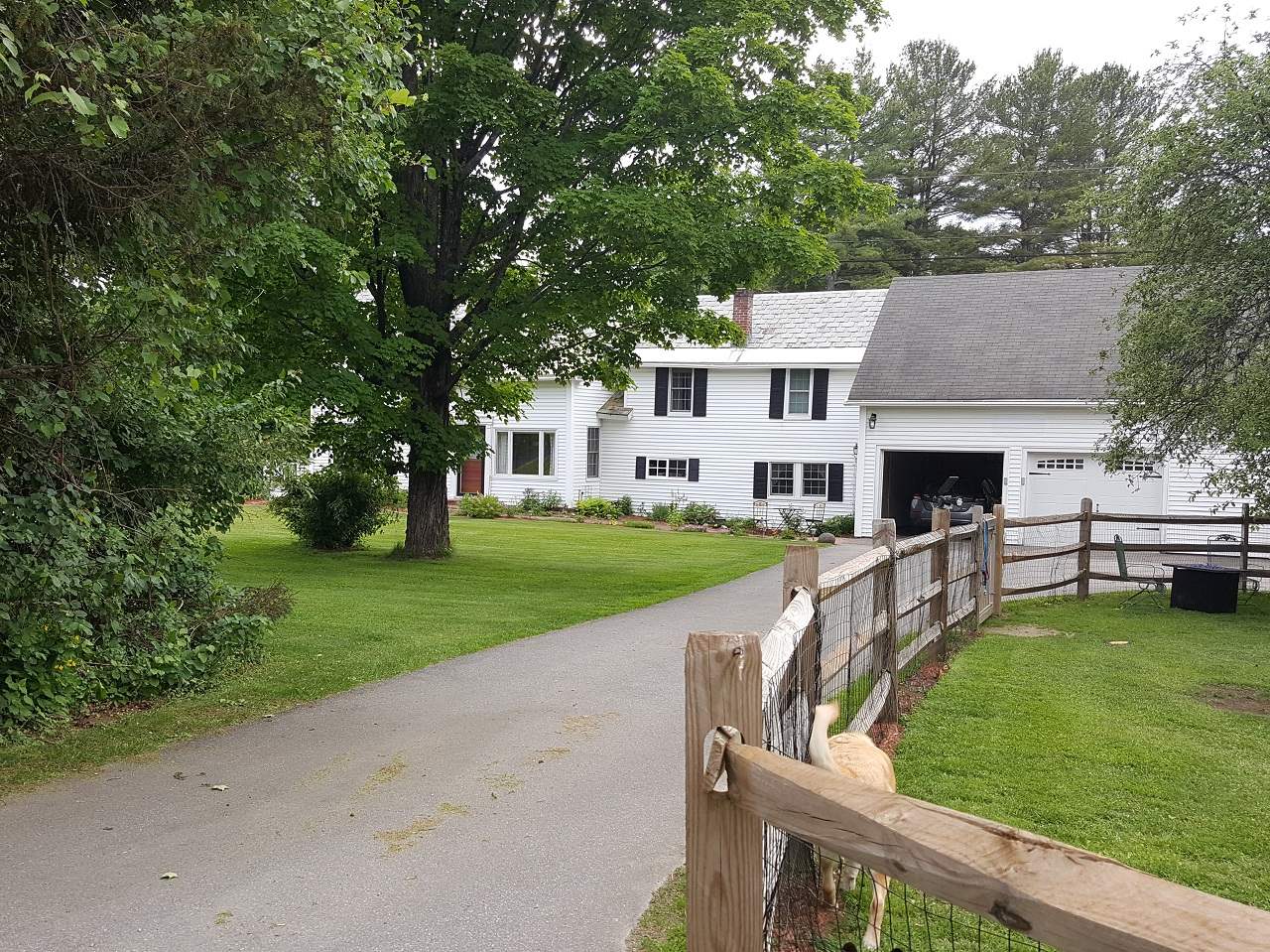 289 Stage Road Chesterfield, NH 03443 - Photo 2 of 33
