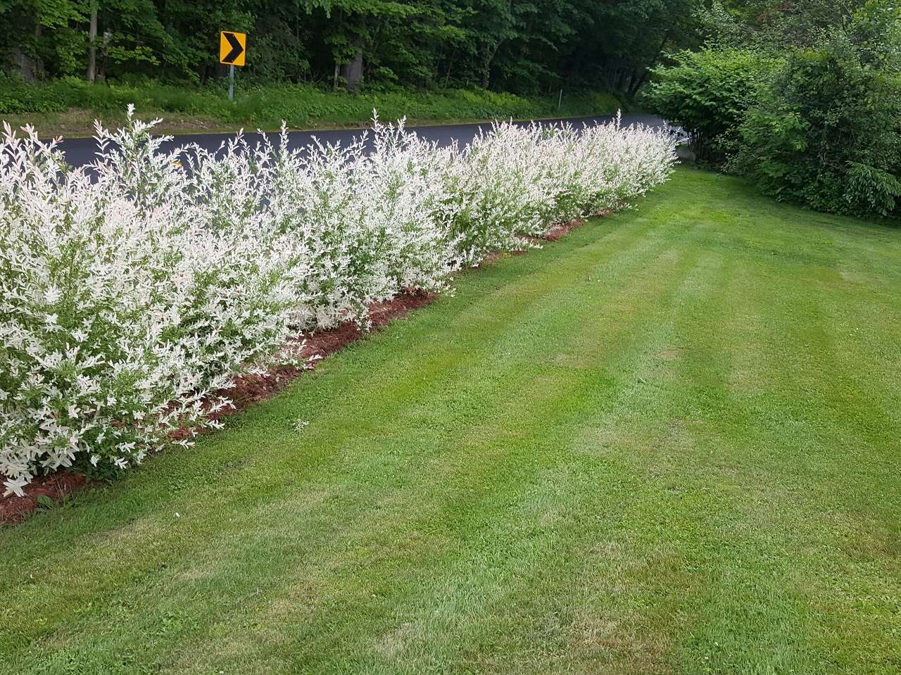 289 Stage Road Chesterfield, NH 03443 - Photo 8 of 33