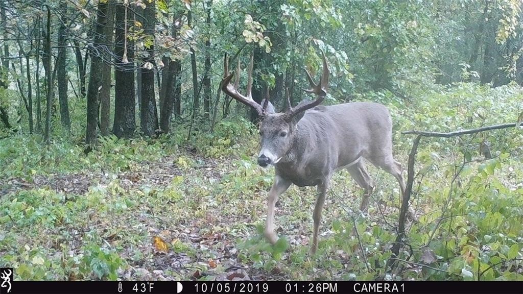 Xx Xx Simons Road Mondovi, WI 54755 - Photo 15 of 45