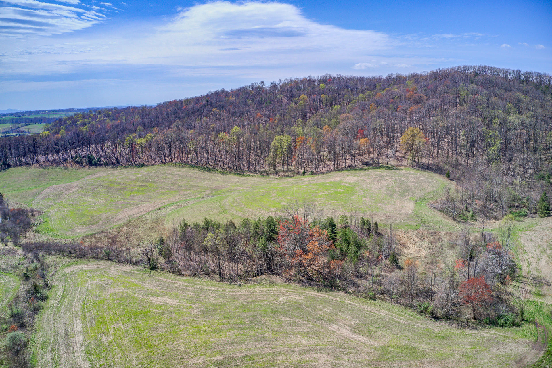 3007 Sandy Level Road Goodview, VA 24095 - Photo 25 of 51 a view of a backyard with green space