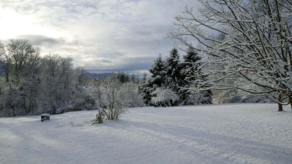 838 Hardscrabble Road Bristol, VT 05443 - Photo 29 of 29
