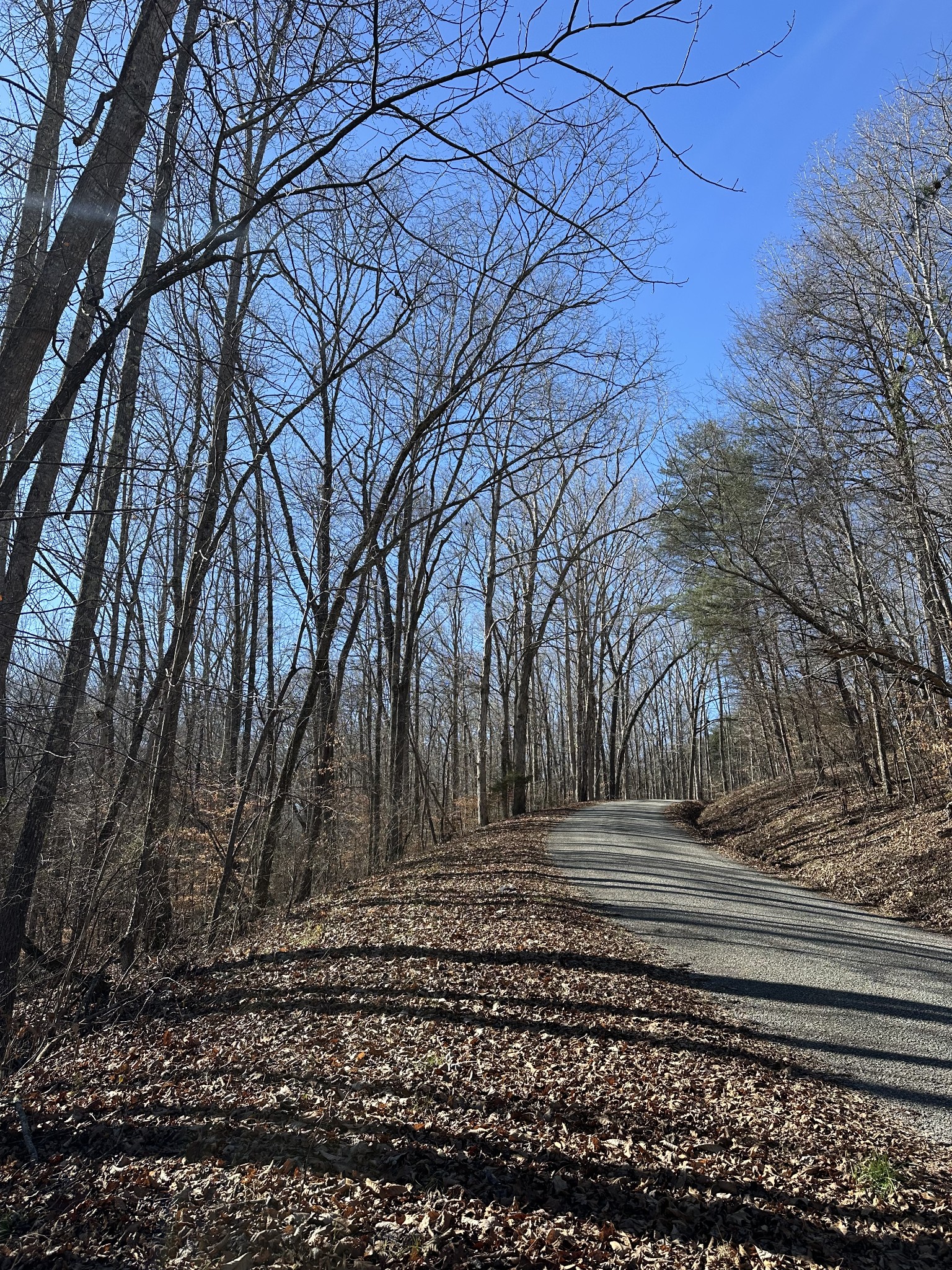 0 Rack Clayton Road Hohenwald, TN 38462 - Photo 12 of 26